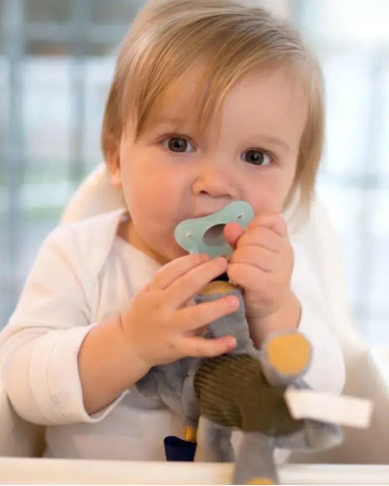 Dr Brown’s Doudou Nounours avec tétine en silicone