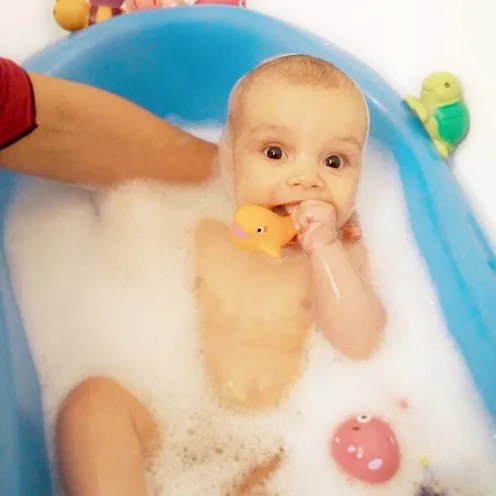 Ludi Aspergeurs pour le bain animaux