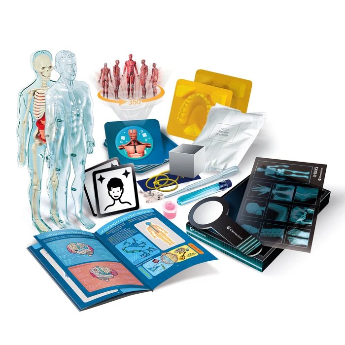 L’ANATOMIE – CLEMENTONI