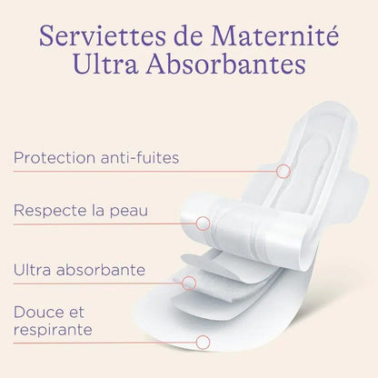 Lansinoh Serviettes Maternité Taille M 2 Semaines et Plus – 12 Unités